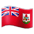 🇧🇲 flag: Bermuda display on Samsung